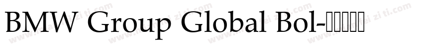 BMW Group Global Bol字体转换